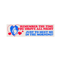 Remember The Time Bumper Sticker